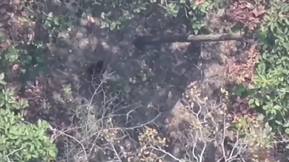 โดรนแฉภาพชายชุดดำลอบเผาป่าดอยสะเก็ด จนท.ระดมกำลังไล่ล่า