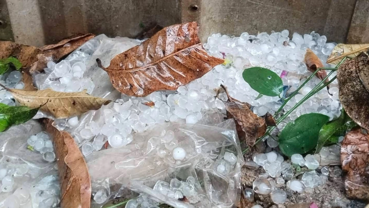 พายุฤดูร้อนถล่มเพชรบูรณ์ ลูกเห็บตกซัดบ้านเสียหาย 66 หลัง ฟ้าผ่าควายดับ 3 ตัว