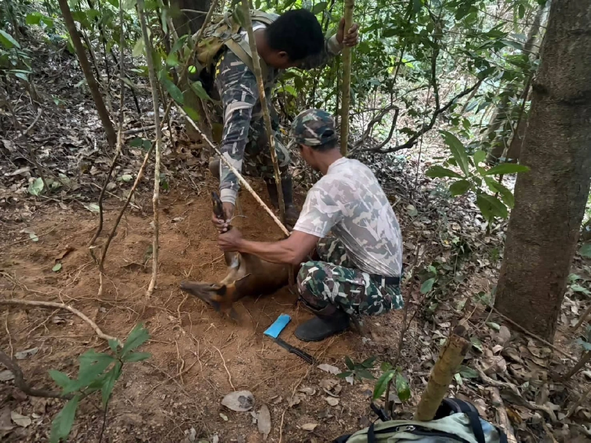 ที่มา : กรมอุทยานแห่งชาติ สัตว์ป่า และพันธุ์พืช