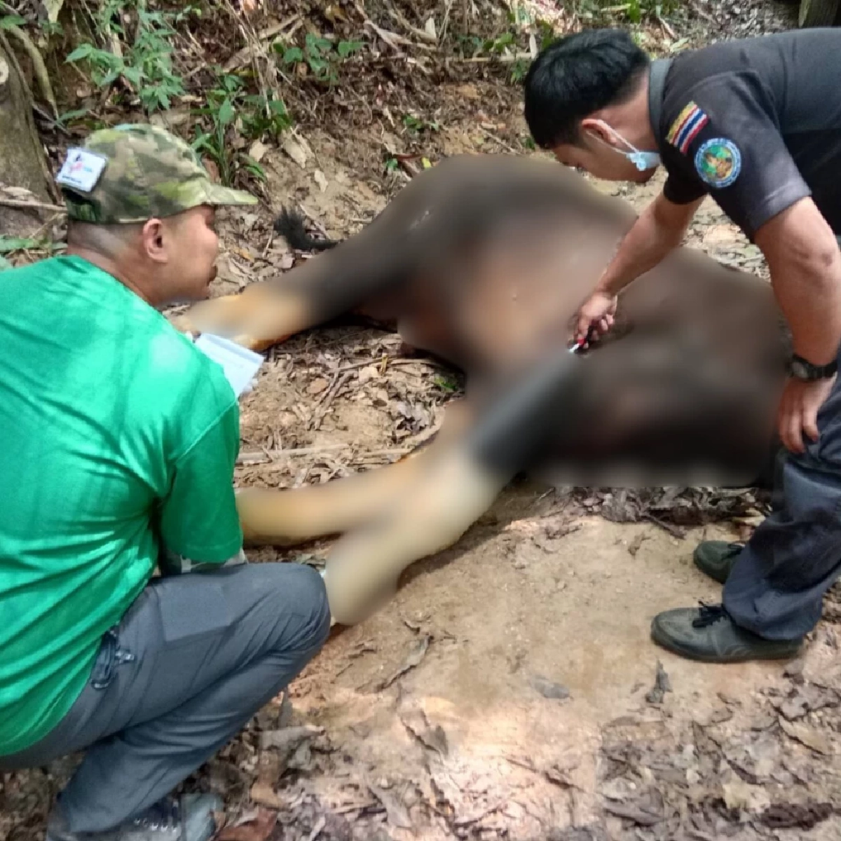 ที่มา : กรมอุทยานแห่งชาติ สัตว์ป่า และพันธุ์พืช