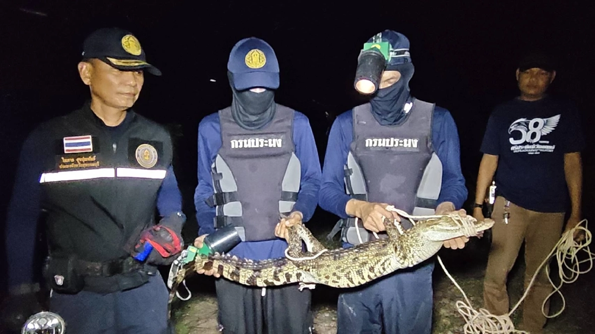 ยาย 69 คิดว่าตัวเงินตัวทอง คว้ากระบวยเคาะกบาลก่อนรู้ความจริง