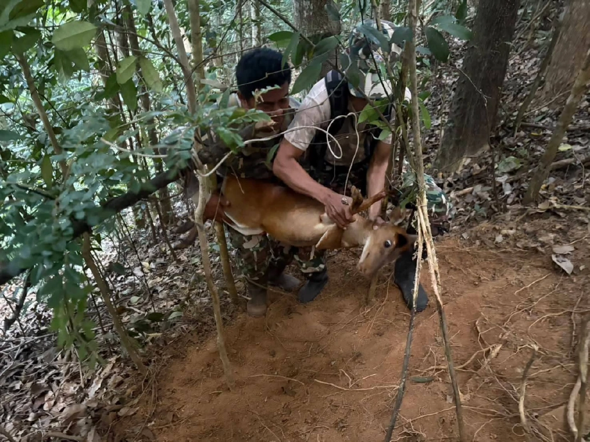 ที่มา : กรมอุทยานแห่งชาติ สัตว์ป่า และพันธุ์พืช