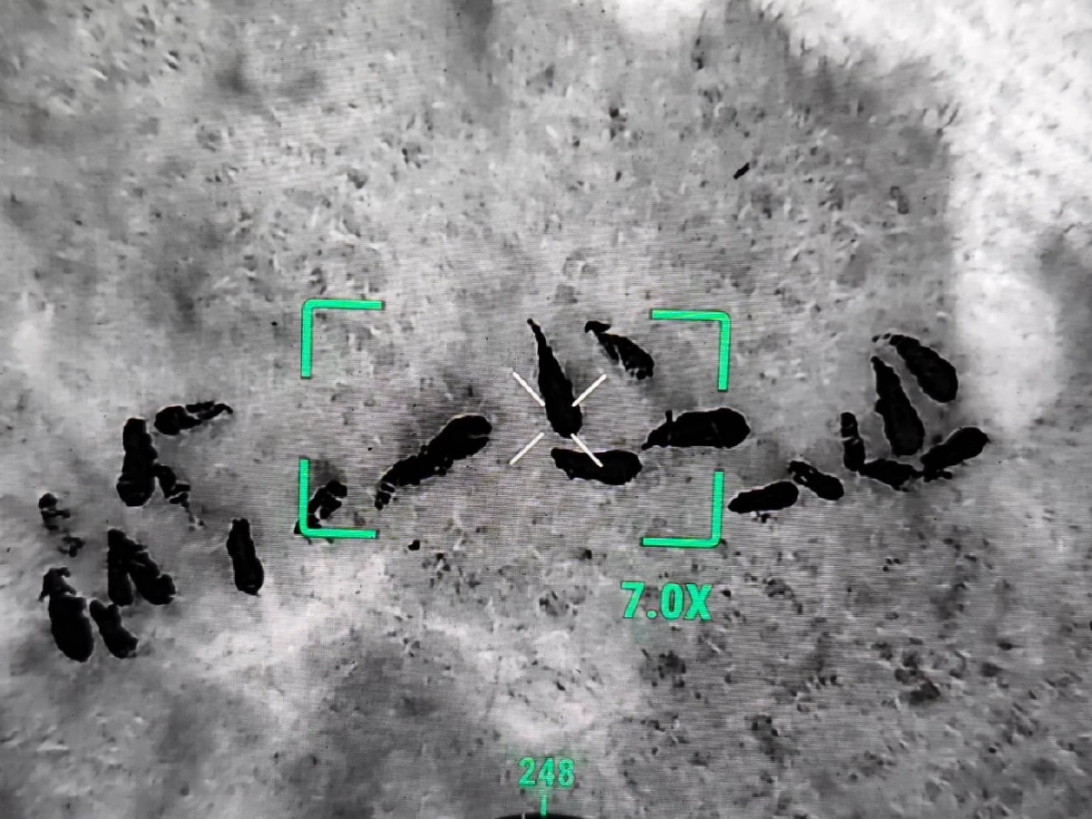 ส่องนาทีระทึก! โดรนจับภาพโขลงช้าง 20 ตัวบุกประชิดหมู่บ้าน