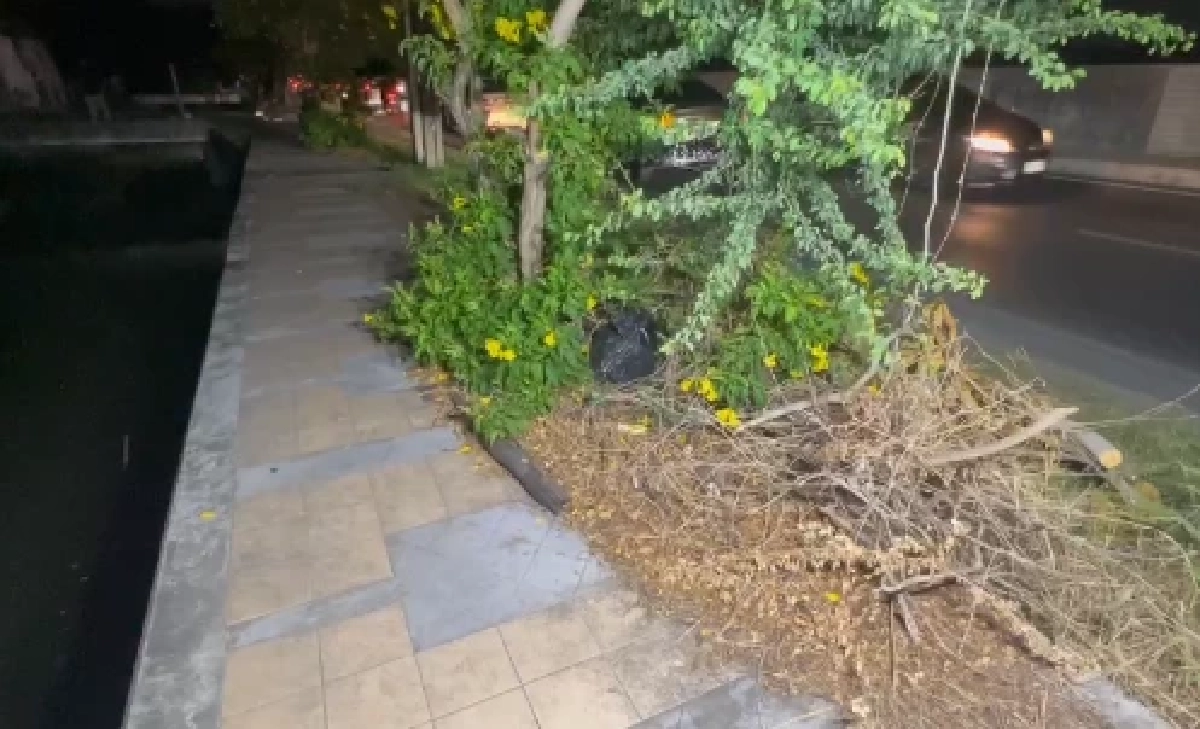 รับไม่ได้ "ต้อมหนุ่มลาว" เผยสาเหตุแท้จริงลงมือแฟนสาวทิ้งอำพราง