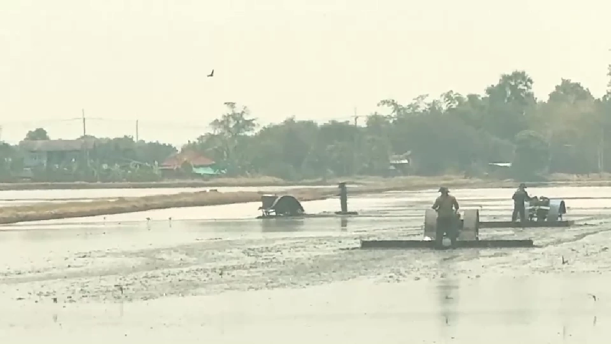 สู้ค่าน้ำมันพุ่ง! ชาวบ้านเปิดเช่าควายไถนา ลดต้นทุนฟื้นวิถีไทย