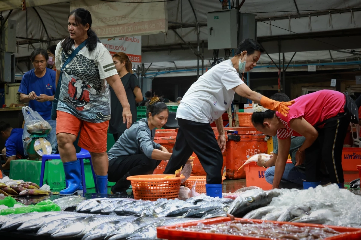 แพปลาโอดน้ำมันพุ่ง-ต้นทุนพุ่ง 30% วอนรัฐคุมราคาอุปกรณ์ด่วน