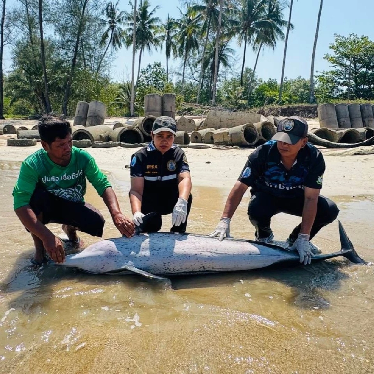 เร่งคลี่ปมสลด ร่างเกยตื้นริมหาด สูญเสียเศร้าอีกครั้ง