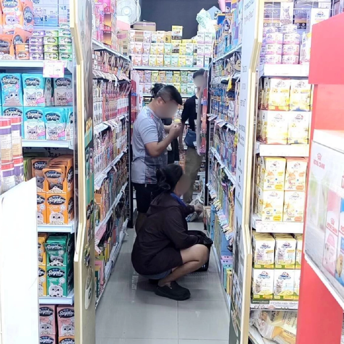 คนเลี้ยงสัตว์พิษณุโลกกักตุนอาหาร หวั่นราคาพุ่งจากค่าน้ำมัน