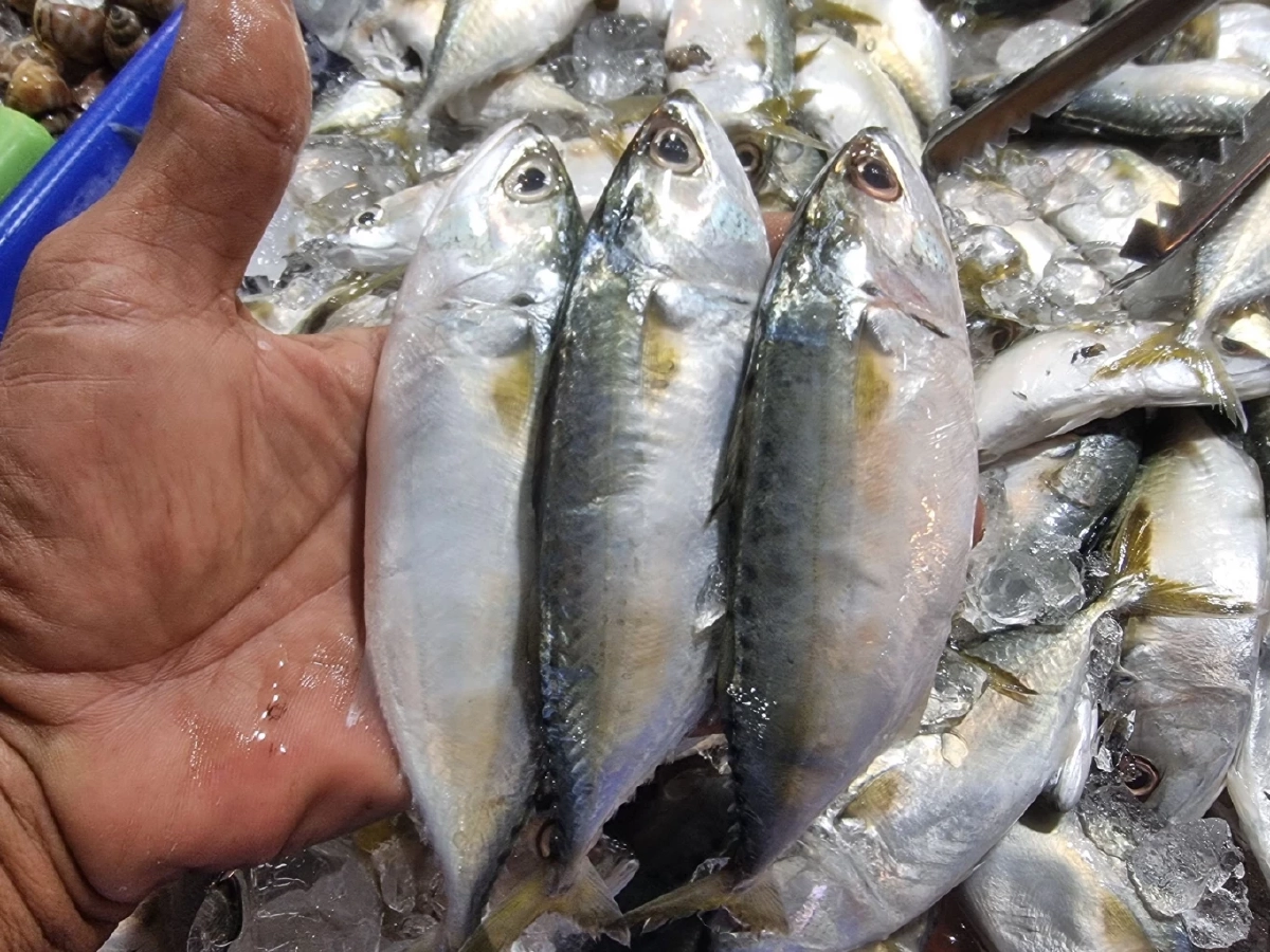 ช่วยชาวบ้าน! เจ๊เล็กทะเลสดเปิดขายราคาถูกสวนค่าน้ำมัน