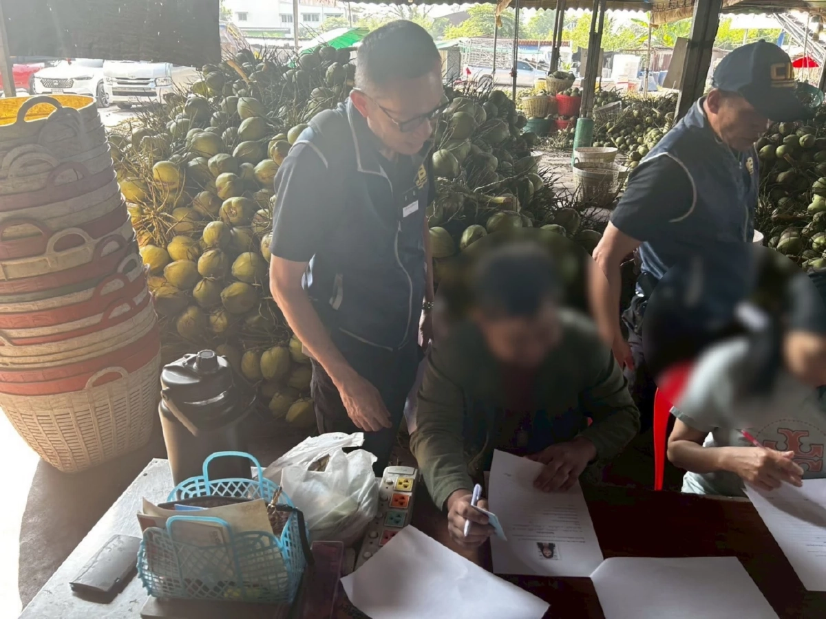 เจอตัวแล้ว ล้งมะพร้าวนอมินี บุก 8 จุด บิดราคา ทำเกษตรกรไทยพัง