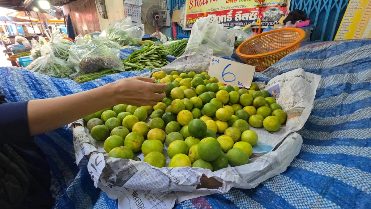 บ่นอุบทั้งตลาด! มะนาวอุทัยฯ แตะลูกละ 6 บาท ผักสดพาเหรดขึ้นราคาตาม