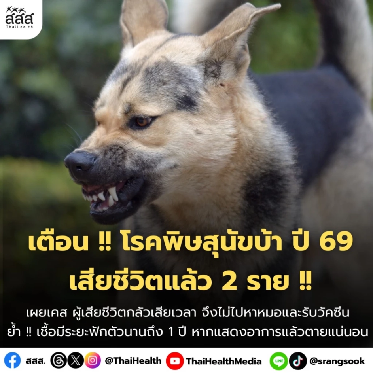 เตือนภัยร้ายใกล้ตัว! โรคพิษสุนัขบ้า ปี 2569 คร่าชีวิตแล้ว 2 ราย