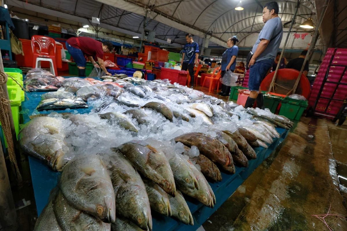 แพปลาโอดน้ำมันพุ่ง-ต้นทุนพุ่ง 30% วอนรัฐคุมราคาอุปกรณ์ด่วน