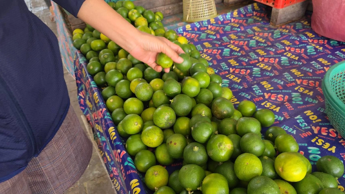 บ่นอุบทั้งตลาด! มะนาวอุทัยฯ แตะลูกละ 6 บาท ผักสดพาเหรดขึ้นราคาตาม