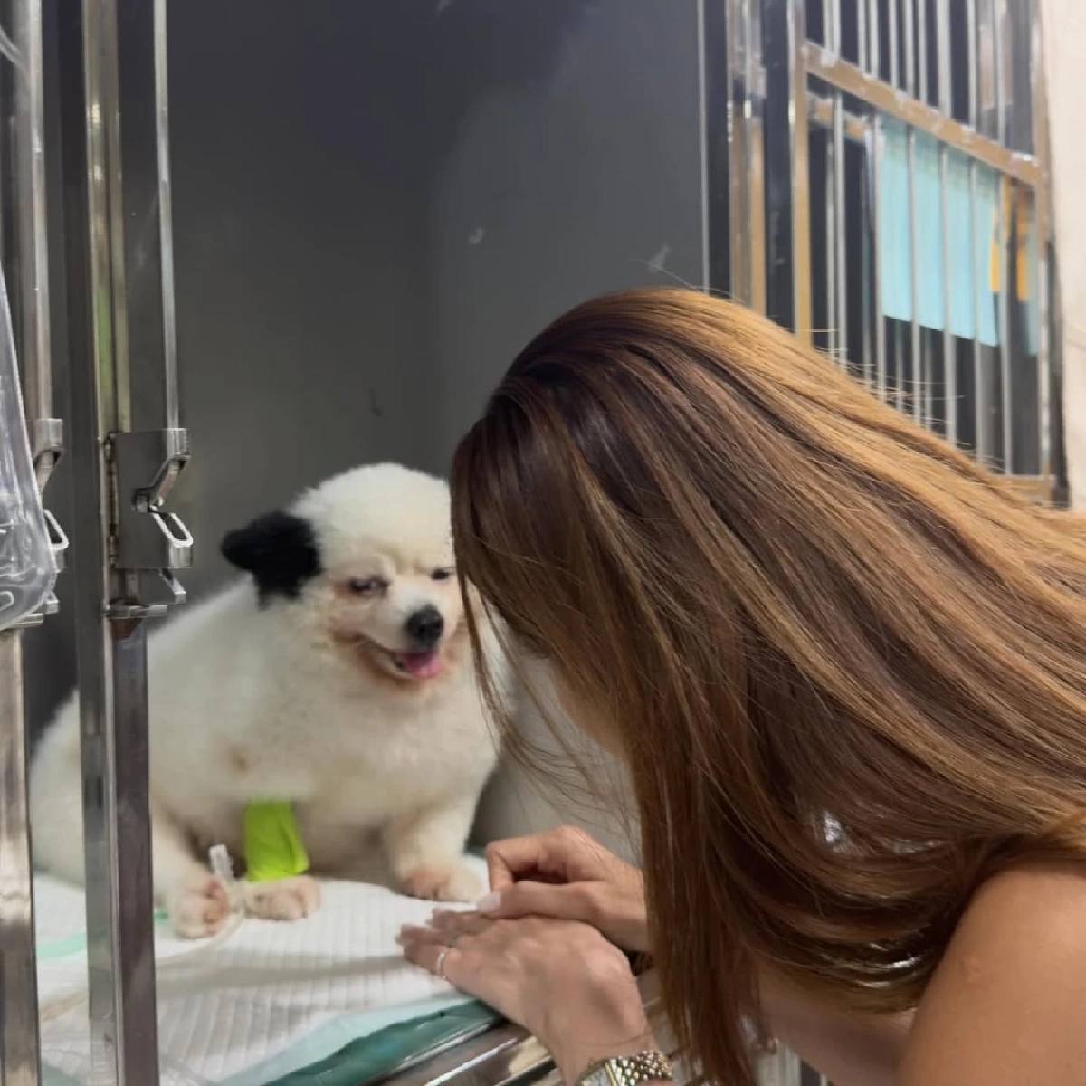 น้ำตาซึม “หญิง รฐา” แจ้งข่าวเศร้า “น้องร่ำรวย” จากไปอย่างสงบ