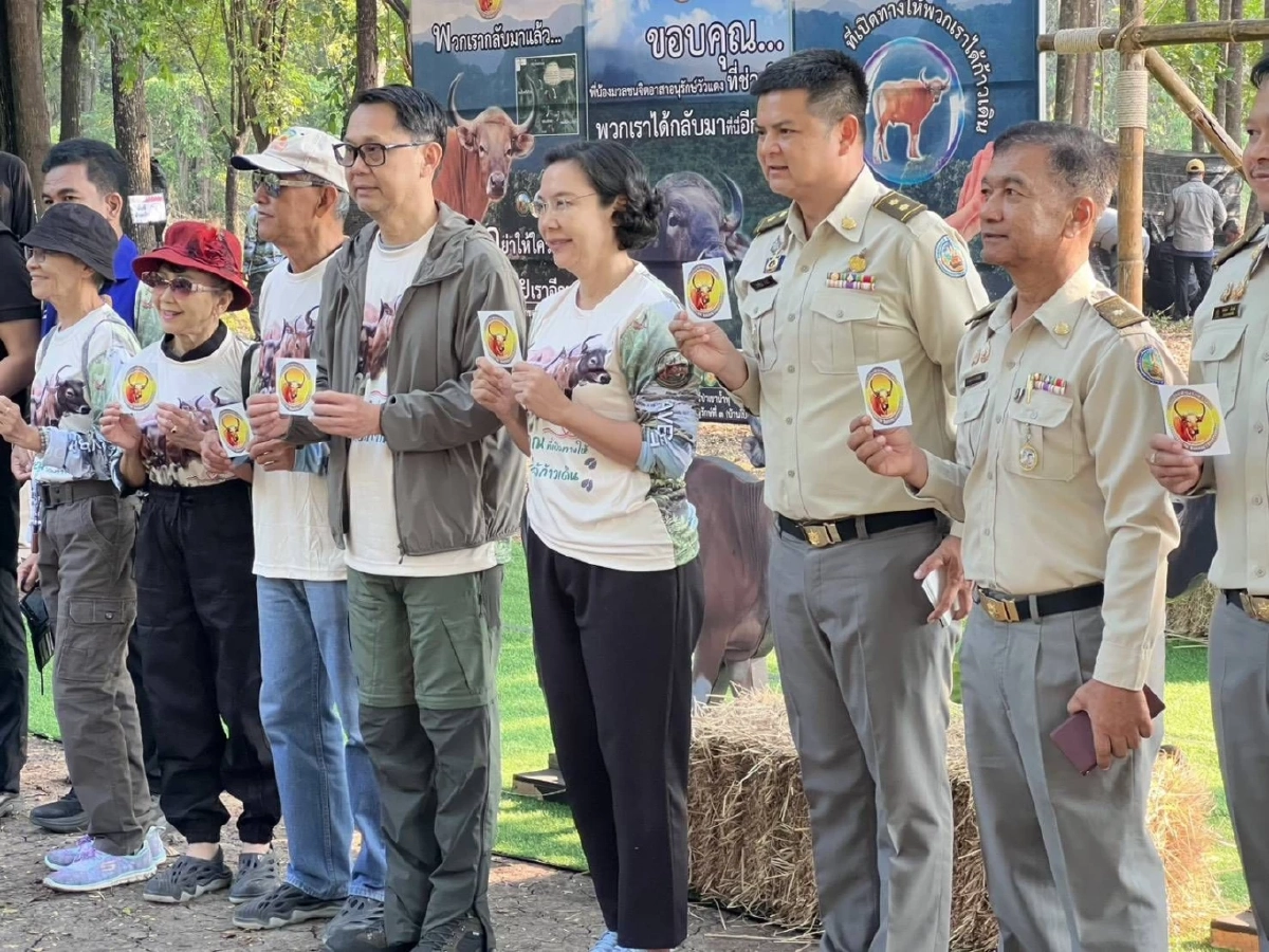 คืนชีพป่าสลักพระ! กาญจนบุรีปล่อยวัวแดงเพิ่ม 3 ตัว สู่ธรรมชาติ