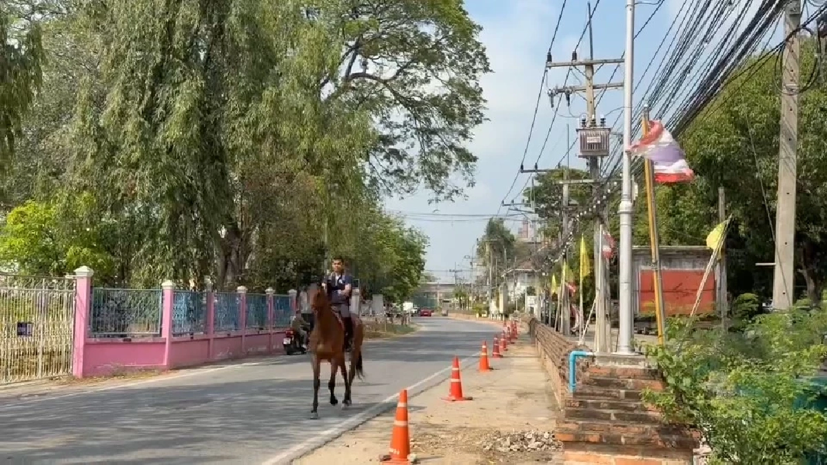 ไอเดียเจ๋ง! ขี่ม้าไปทำงานแทนมอเตอร์ไซค์ สู้ศึกน้ำมันแพง