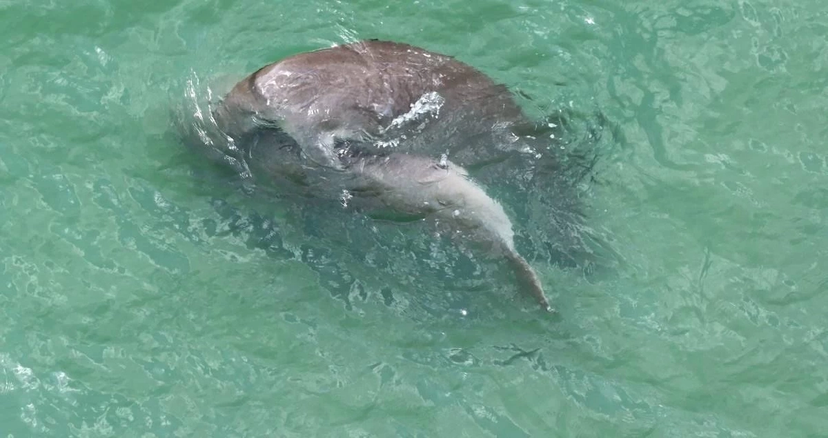 ที่มา : กรมอุทยานแห่งชาติ สัตว์ป่า และพันธุ์พืช