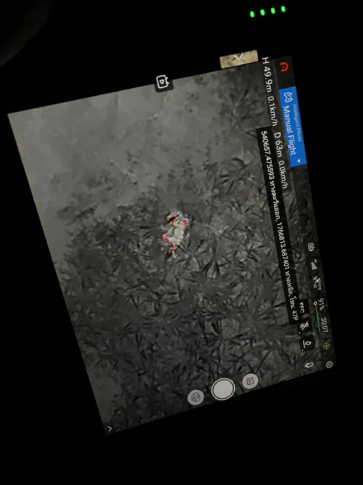 เจ้าหน้าที่จับ "ปิ่น" เสือโคร่งหลงถิ่นสำเร็จ เคลื่อนย้ายคืนป่าห้วยขาแข้งปลอดภัย