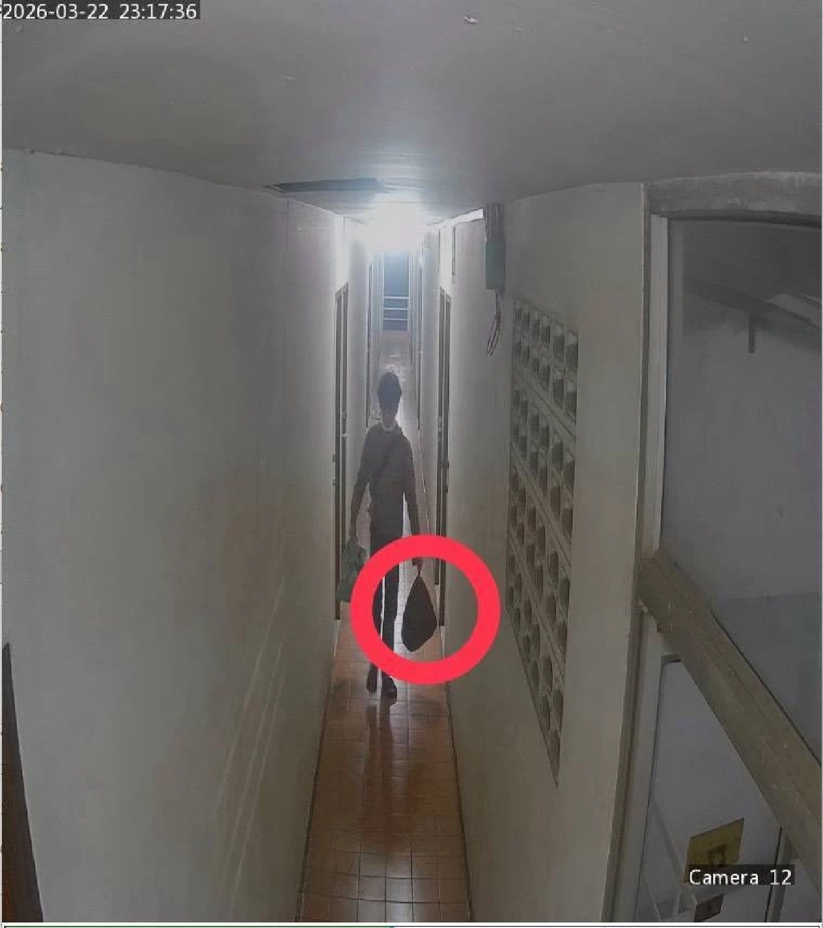 นิติวิทยาศาสตร์  เล่าสยอง พร้อมเผยถึง2ชิ้นส่วน ที่ยังหาไม่พบ