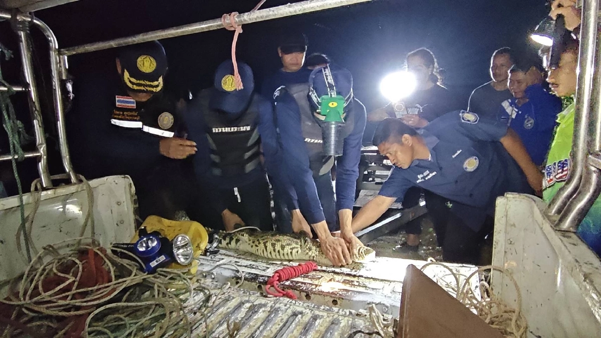 ยาย 69 คิดว่าตัวเงินตัวทอง คว้ากระบวยเคาะกบาลก่อนรู้ความจริง