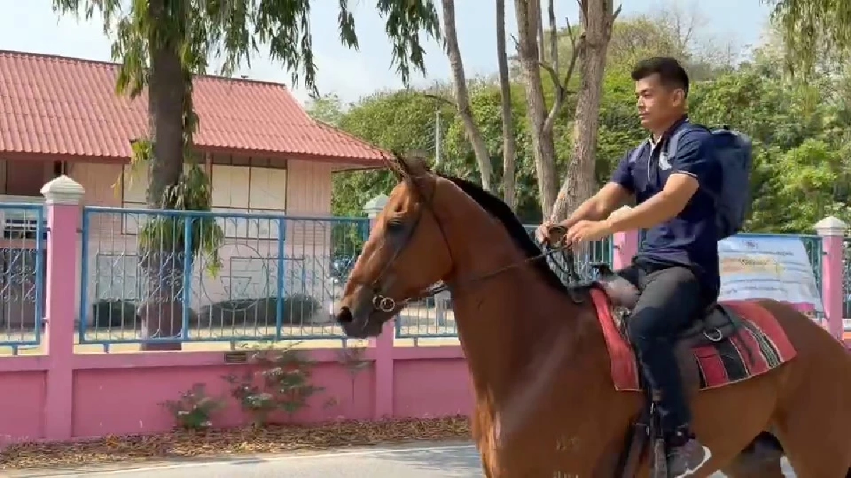 ไอเดียเจ๋ง! ขี่ม้าไปทำงานแทนมอเตอร์ไซค์ สู้ศึกน้ำมันแพง