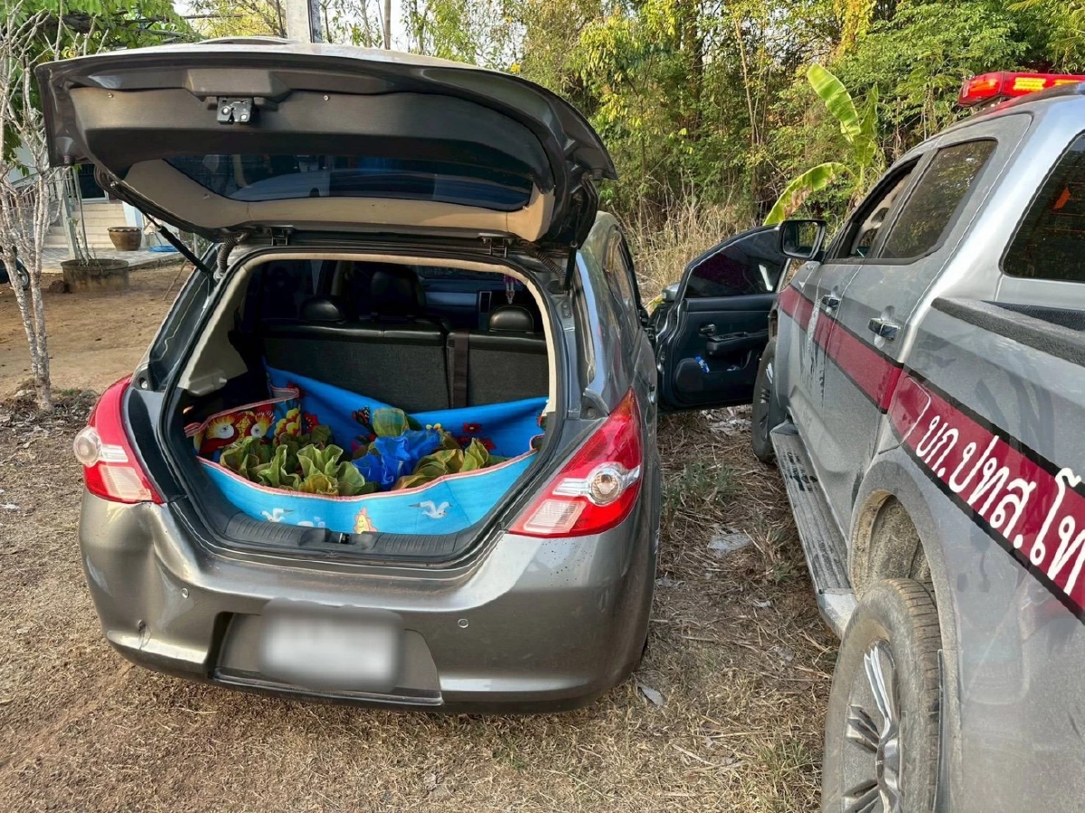 ล่าระทึก หนุ่มใหญ่ซิ่งหนี สุดท้ายจนมุม ของกลางเพียบยังเป็นๆ