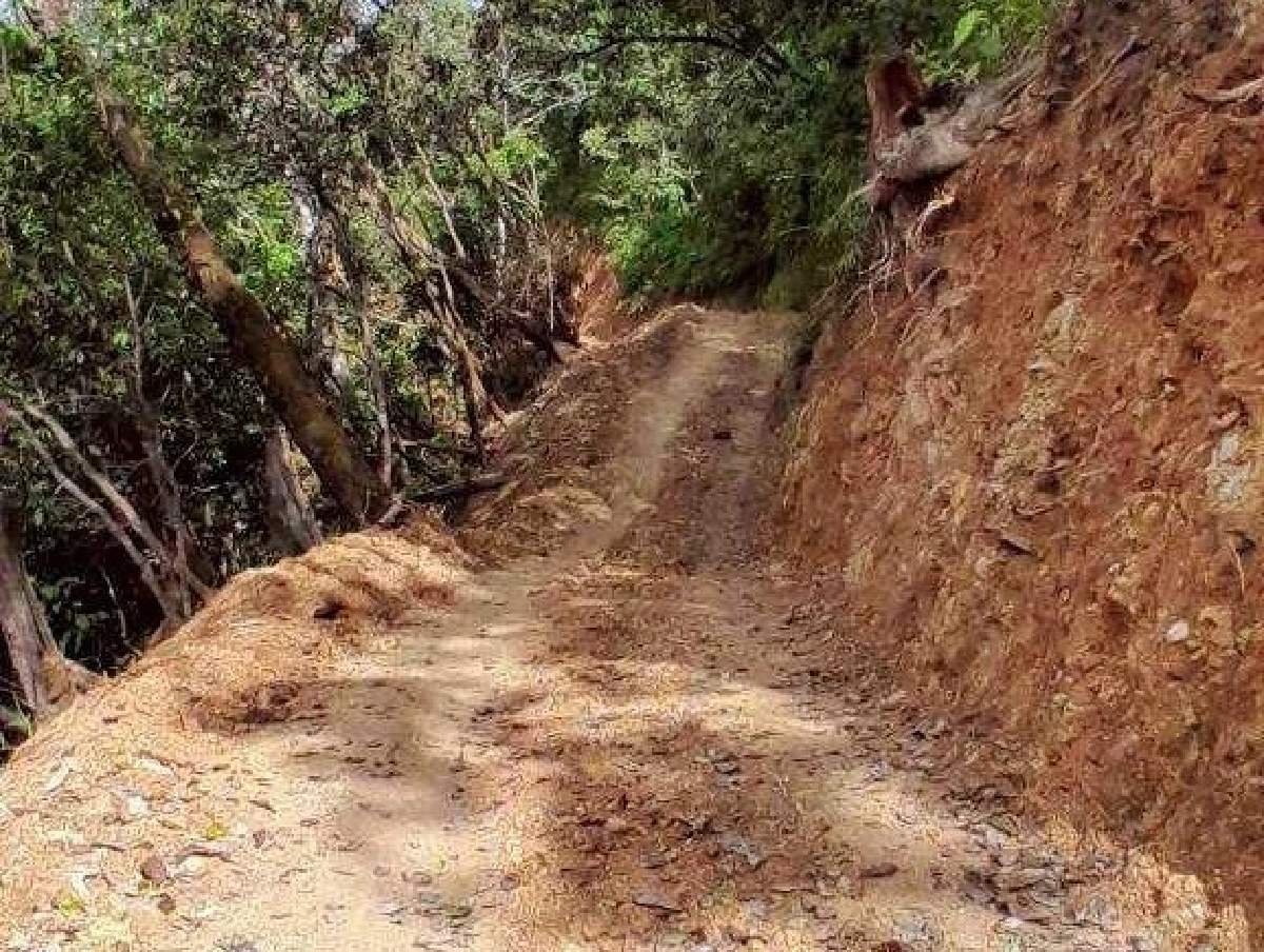 หัวหน้าเขตแม่ยวมฝั่งขวาผ่อนปรนใช้ถนนสายคดีกรณีฉุกเฉิน