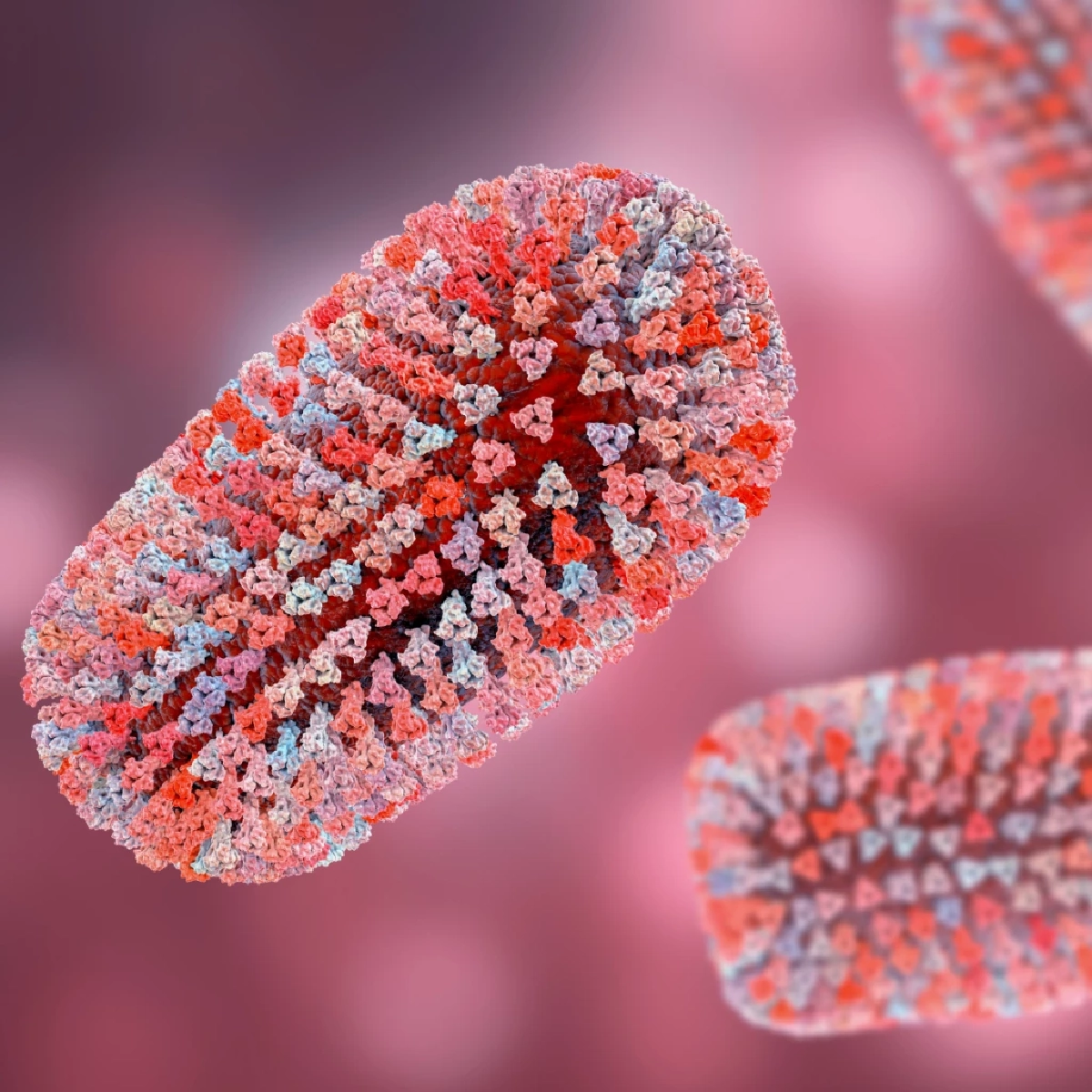 สรุป 6 ความเชื่อผิดเรื่องโรคพิษสุนัขบ้า ที่ควรรู้ก่อนสาย