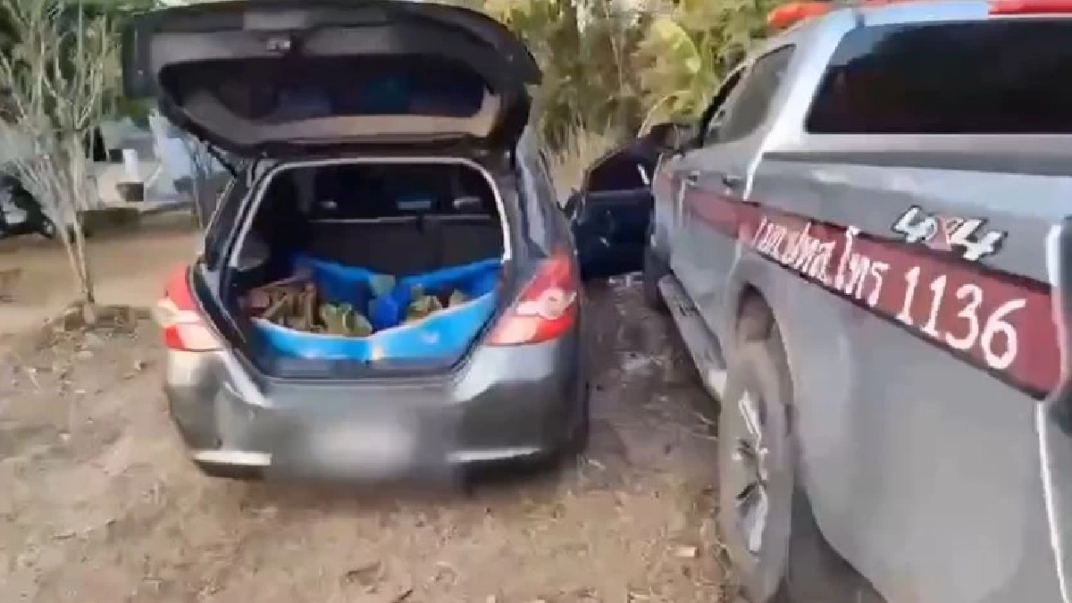 ล่าระทึก หนุ่มใหญ่ซิ่งหนี สุดท้ายจนมุม ของกลางเพียบยังเป็นๆ