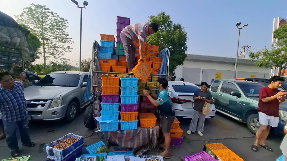 น้ำตาตก! พ่อค้าสตอเบอรี่ถูกเทออเดอร์ 8 หมื่น เพราะน้ำมันหมดคาปั๊ม