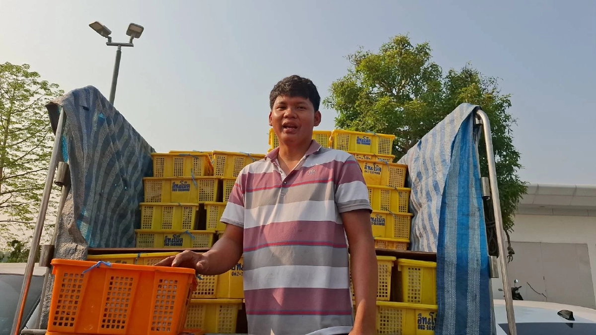 น้ำตาตก! พ่อค้าสตอเบอรี่ถูกเทออเดอร์ 8 หมื่น เพราะน้ำมันหมดคาปั๊ม