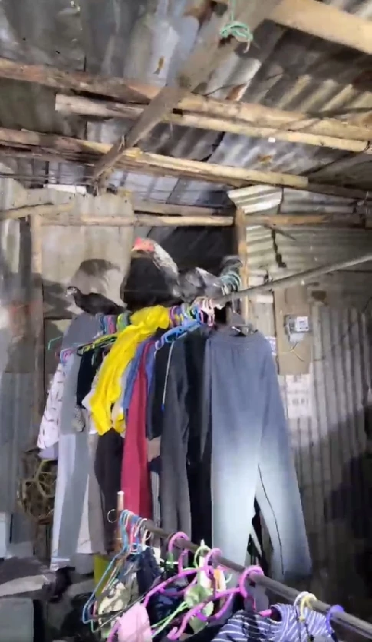 เอาจริง กัน จอมพลัง ล่าสาวเขมรตั้งวง-เย้ยไทย สุดท้ายแหกรั้วหนี