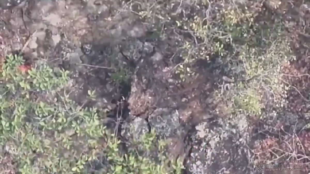 โดรนแฉภาพชายชุดดำลอบเผาป่าดอยสะเก็ด จนท.ระดมกำลังไล่ล่า