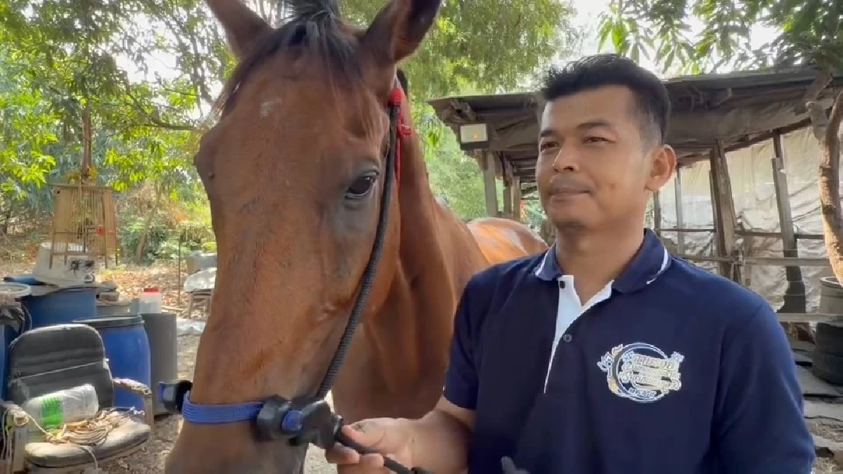 ไอเดียเจ๋ง! ขี่ม้าไปทำงานแทนมอเตอร์ไซค์ สู้ศึกน้ำมันแพง