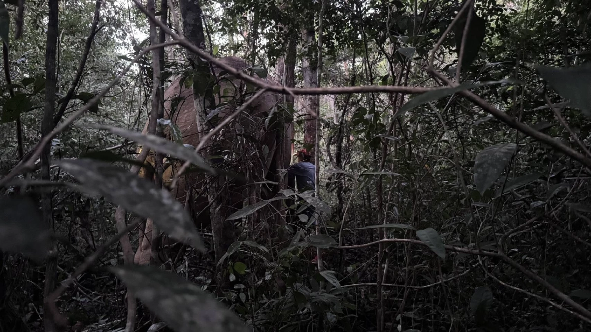 ภาพ @ กรมอุทยานแห่งชาติ สัตว์ป่า และพันธุ์พืช