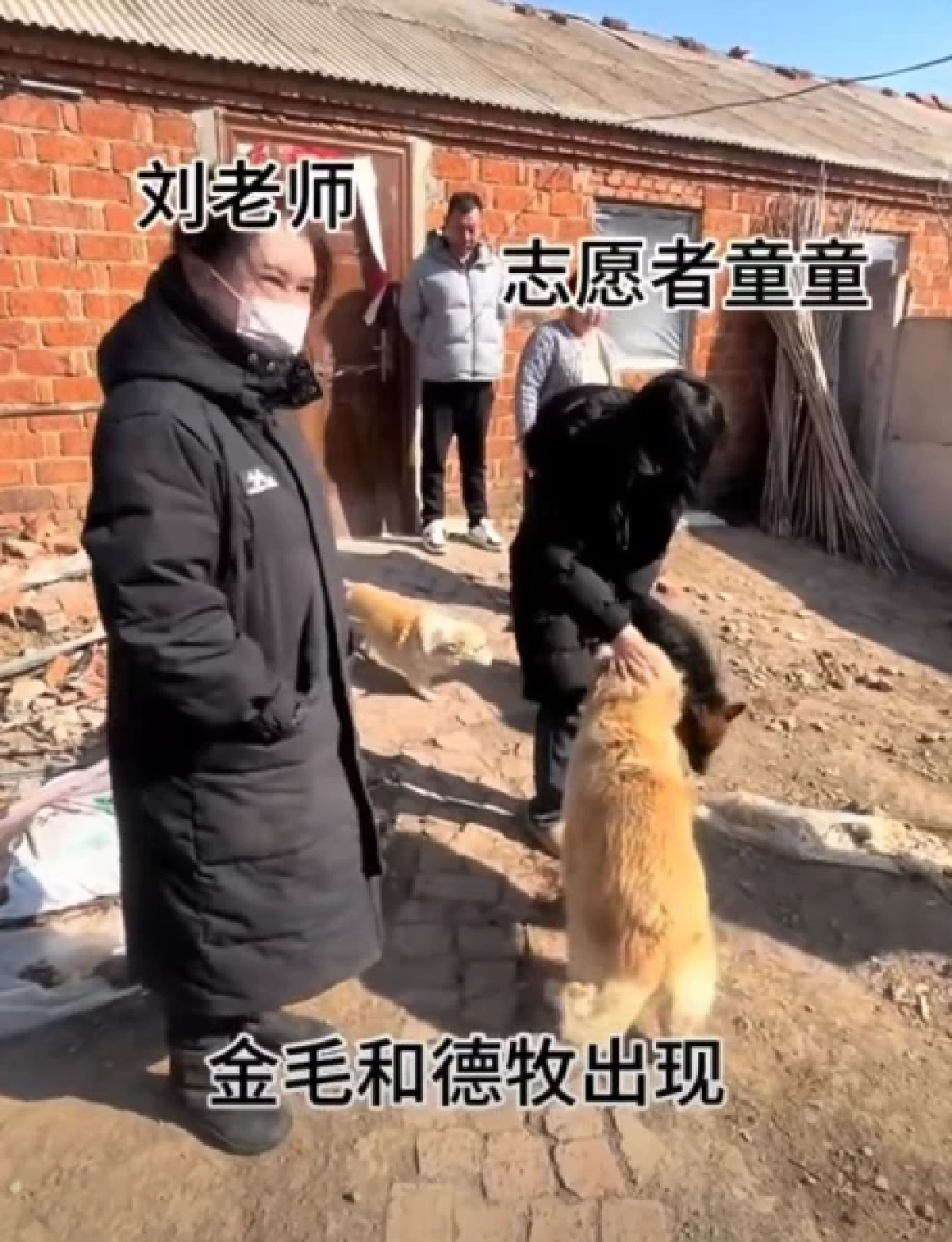 ไม่ทิ้งกัน สุนัข 7 ตัว ช่วยพาเพื่อนเจ็บหนีแก๊งลักหมา เดินไกล 17 กม.