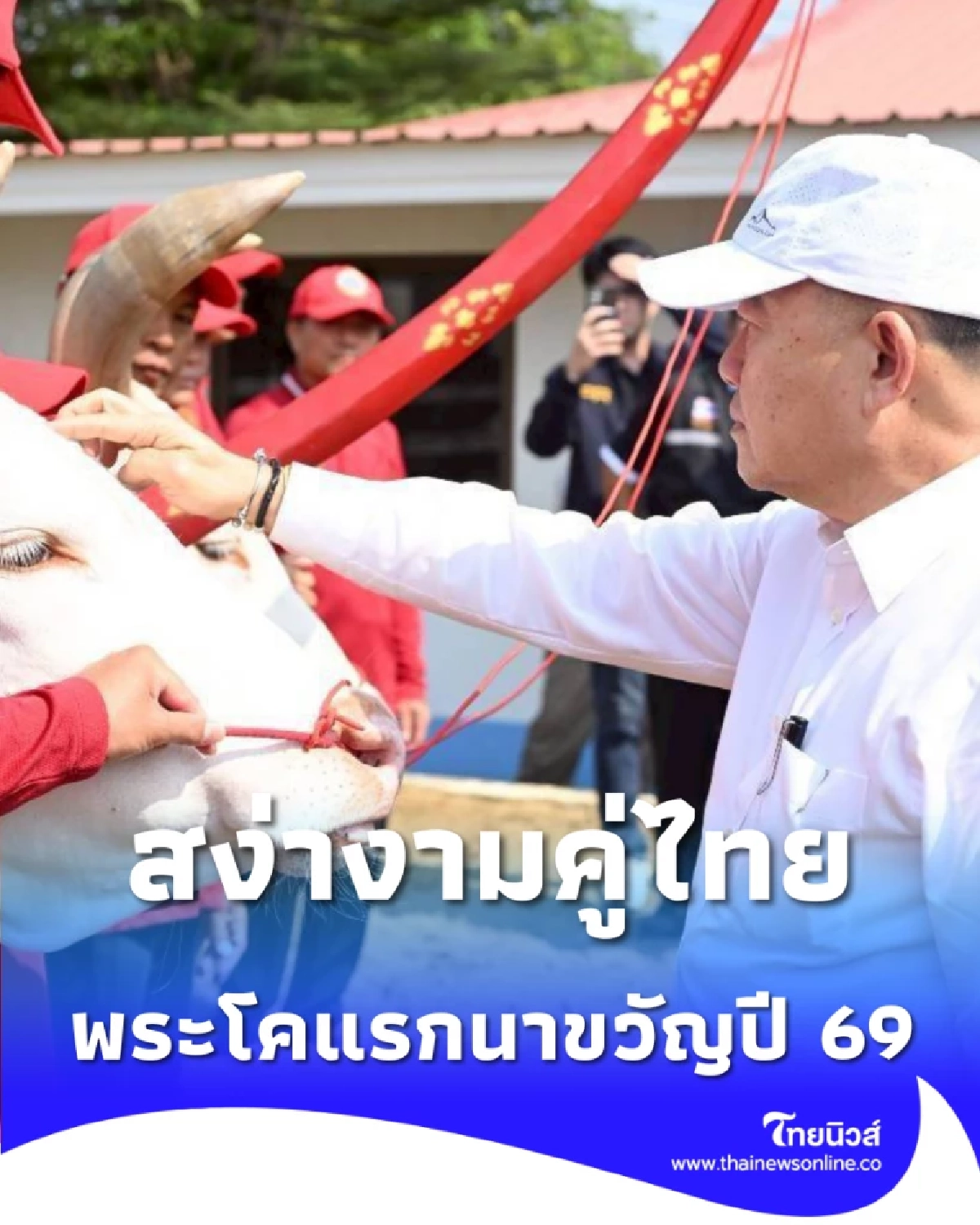 ยลโฉม พระโคพอ-เพียง พระโคแรกนาขวัญปี 69 สง่างามคู่ไทย