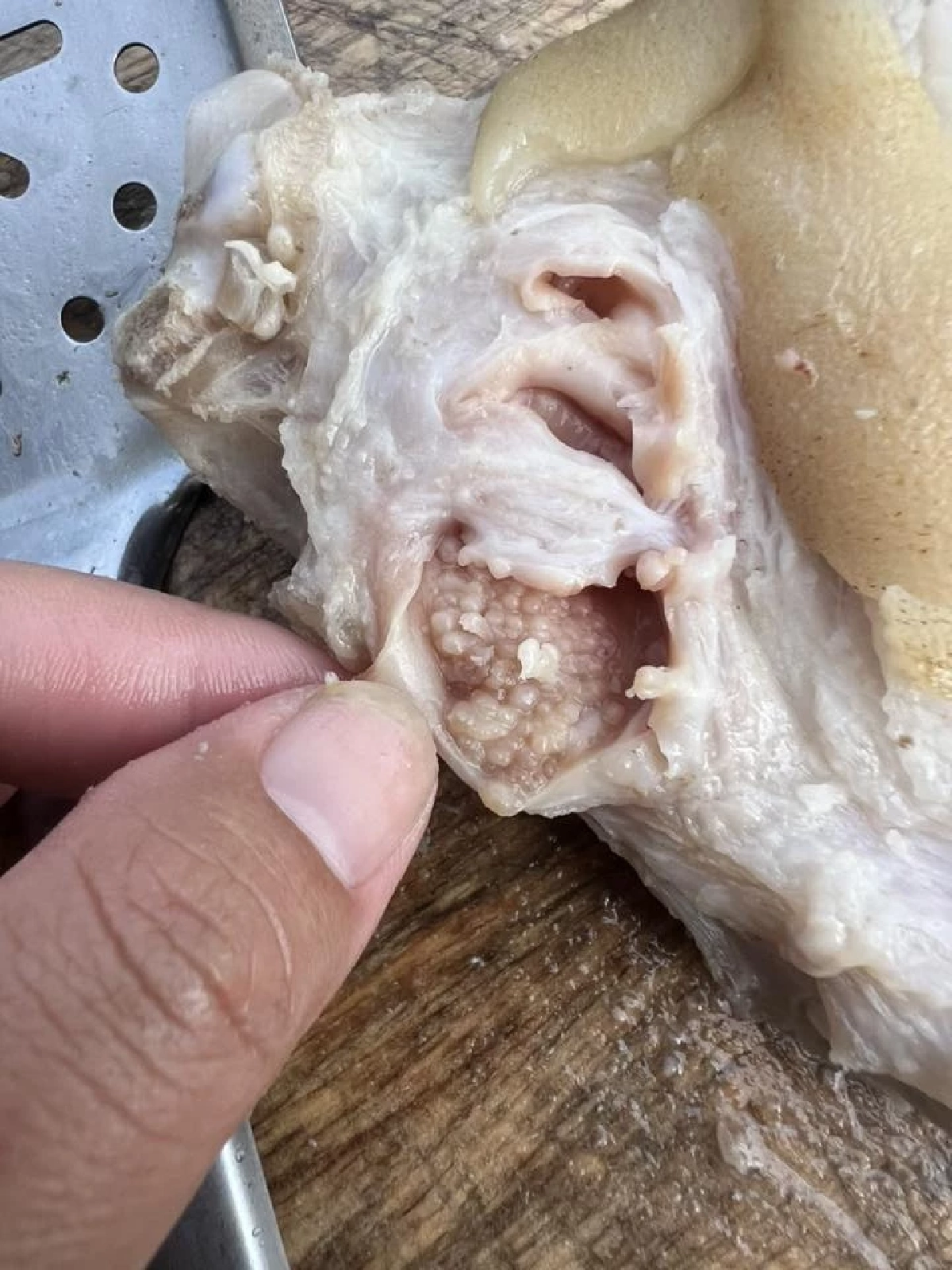 มันคืออะไร เม็ดใสๆในขาหมู งานนี้ทำโซเชียลเถียงเดือด