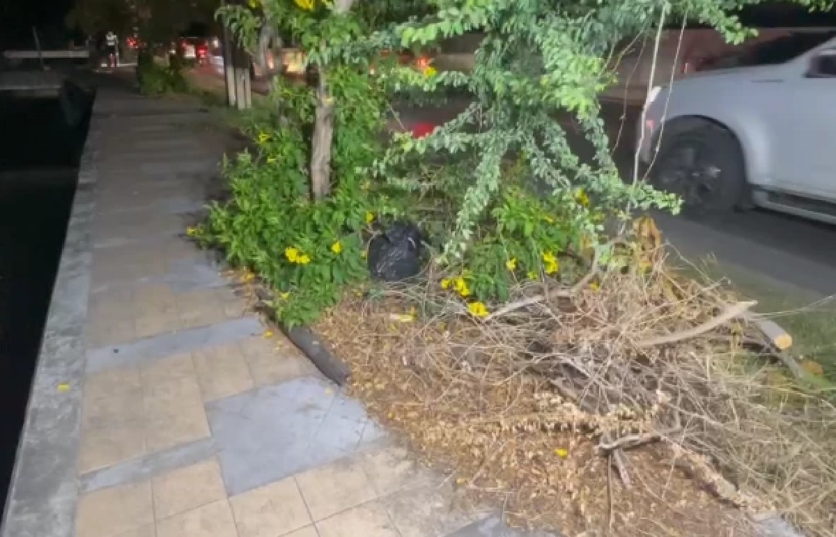 นิติวิทยาศาสตร์  เล่าสยอง พร้อมเผยถึง2ชิ้นส่วน ที่ยังหาไม่พบ