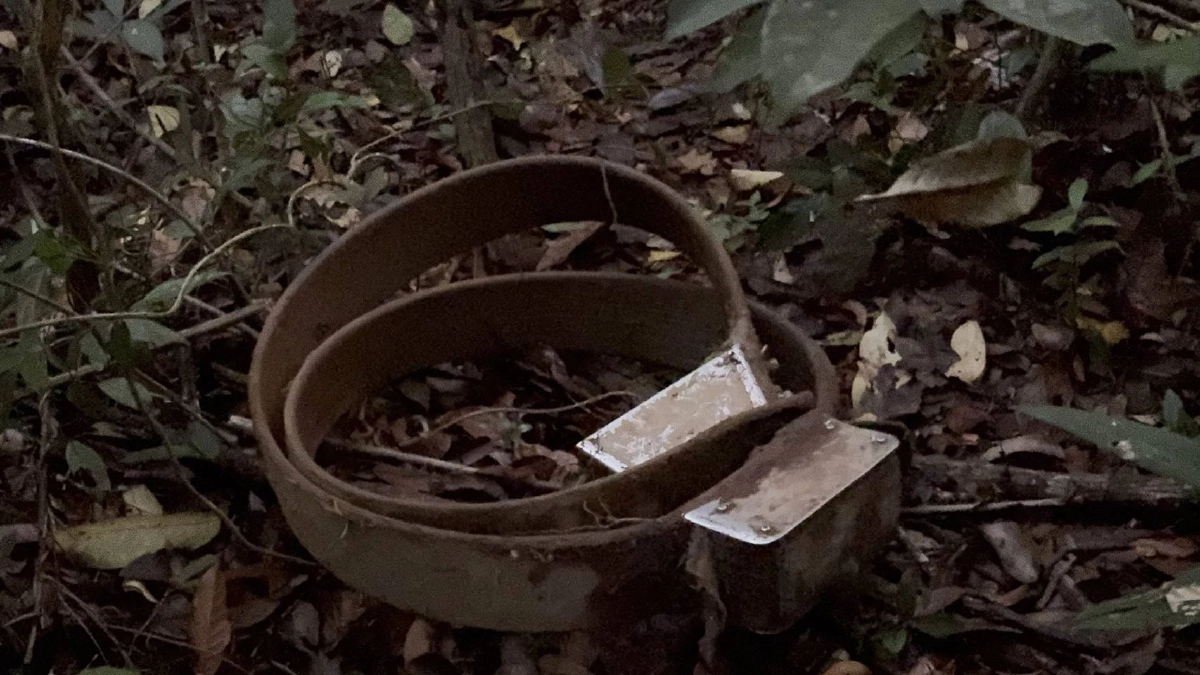 ภาพ @ กรมอุทยานแห่งชาติ สัตว์ป่า และพันธุ์พืช