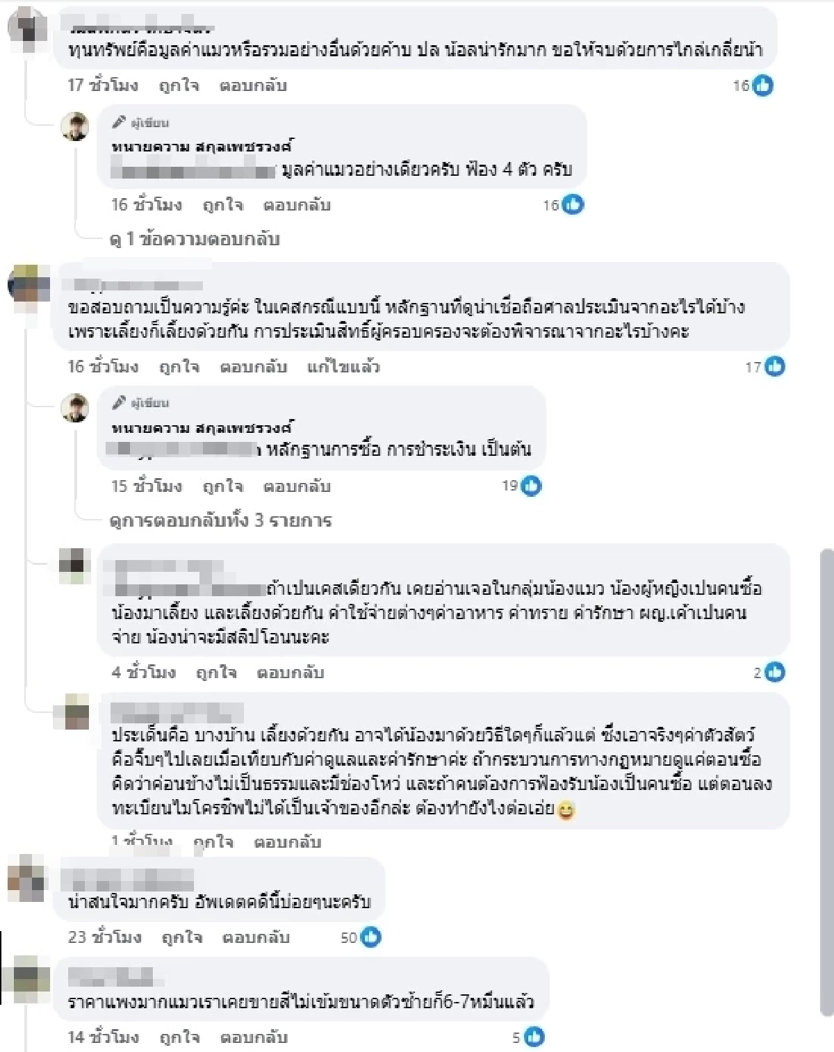 ศึกชิง "น้องแมว" รักจบแต่ปัญหาไม่จบ ฟ้องทวงคืน 4 ตัว เกือบ 6.4 แสน