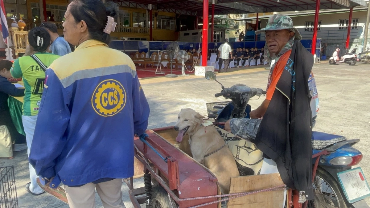 อธิบดีปศุสัตว์เปิดโครงการทำหมันสุนัข-แมวสกัดพิษสุนัขบ้า