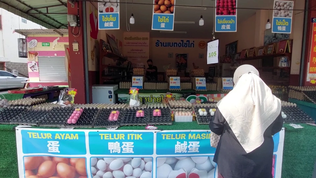 เบตงโอด! หมู-ไก่-ไข่พุ่ง วอนรัฐเร่งช่วยด่วน ก่อนแบกต้นทุนไม่ไหว