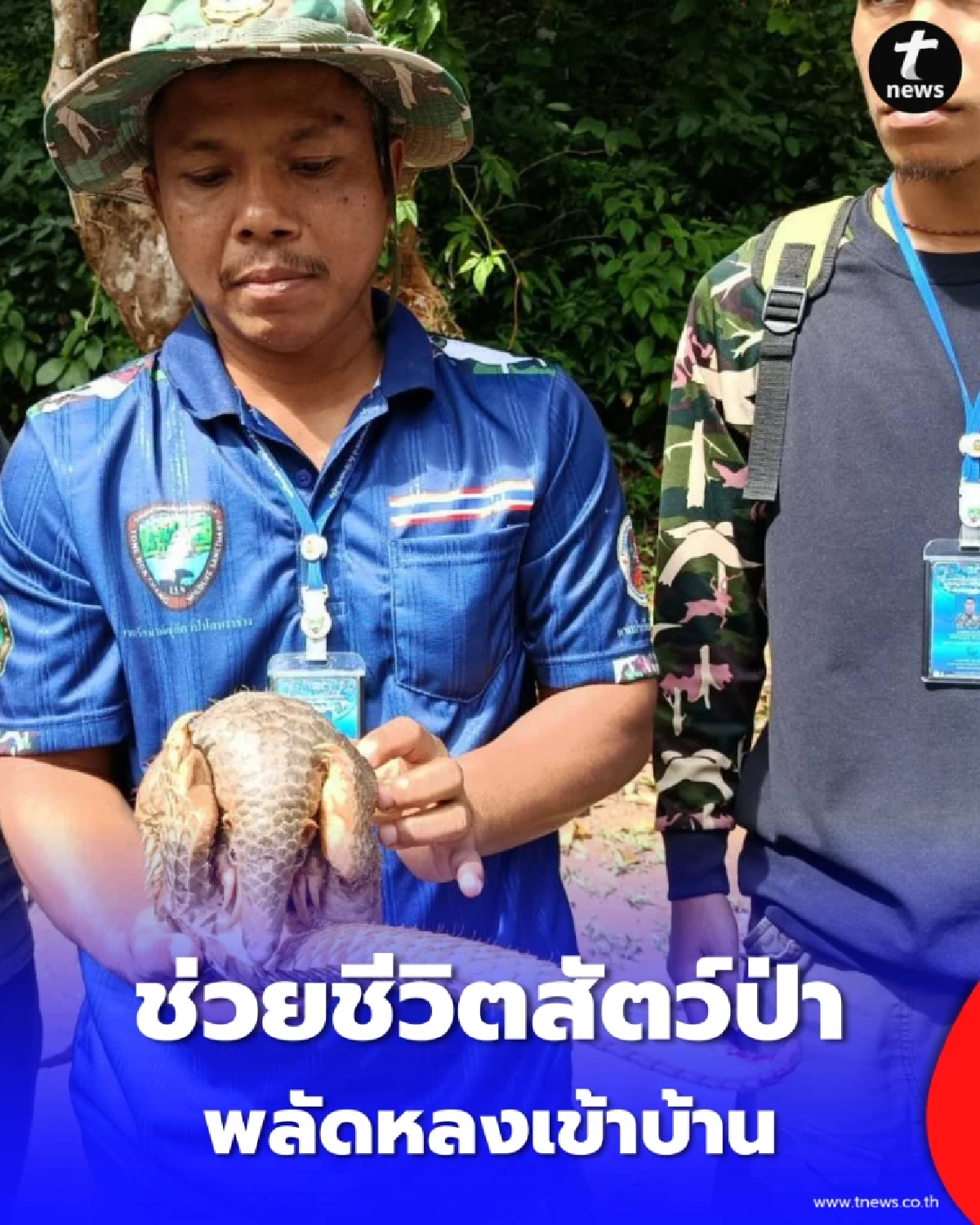  ตัวอะไรหลงเข้าบ้าน พลเมืองดีรีบแจ้งเจ้าหน้าที่ ช่วยชีวิตสัตว์ป่าหายากคืนป่า