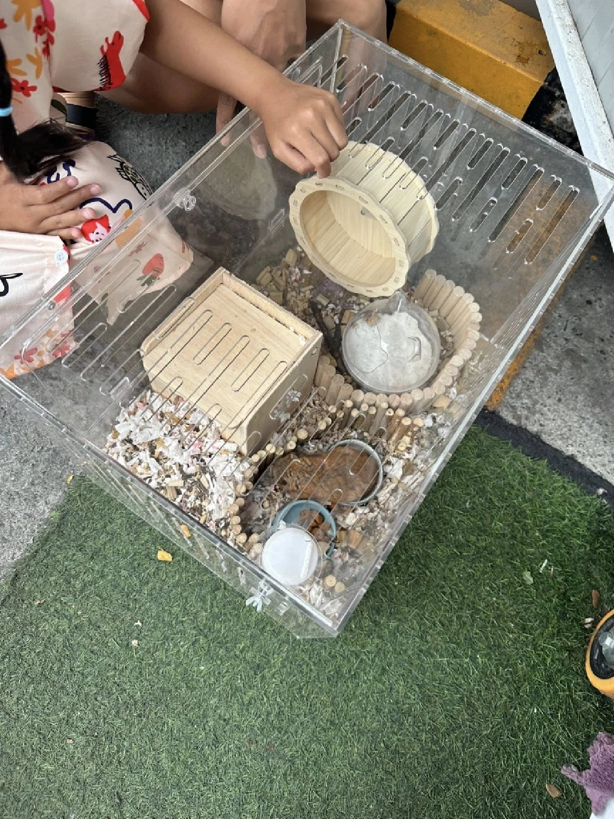 ทนดูไม่ได้ 2 ชีวิตถูกทิ้งตากแดดข้างกองขยะ สาวมาเจอไม่ปล่อยผ่าน