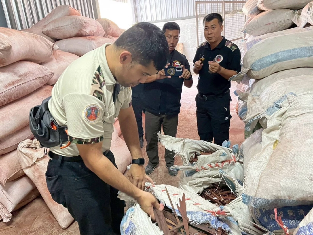 บุกโกดังยึดซากตุ๊กแกกว่า 1.2 แสนตัว ขยายผลขบวนการค้าสัตว์ป่า