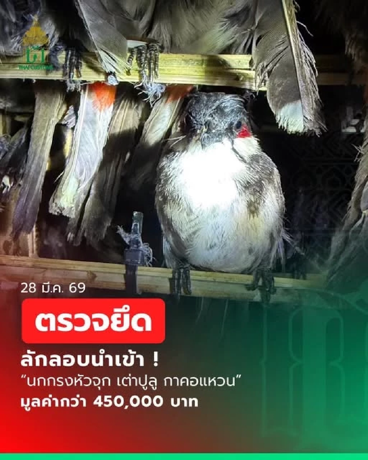 สกัดรถทัวร์ลาว-ไทย ลอบขนสัตว์ป่าซุกรถทัวร์เวียงจันทน์ เฉียด 5 แสน