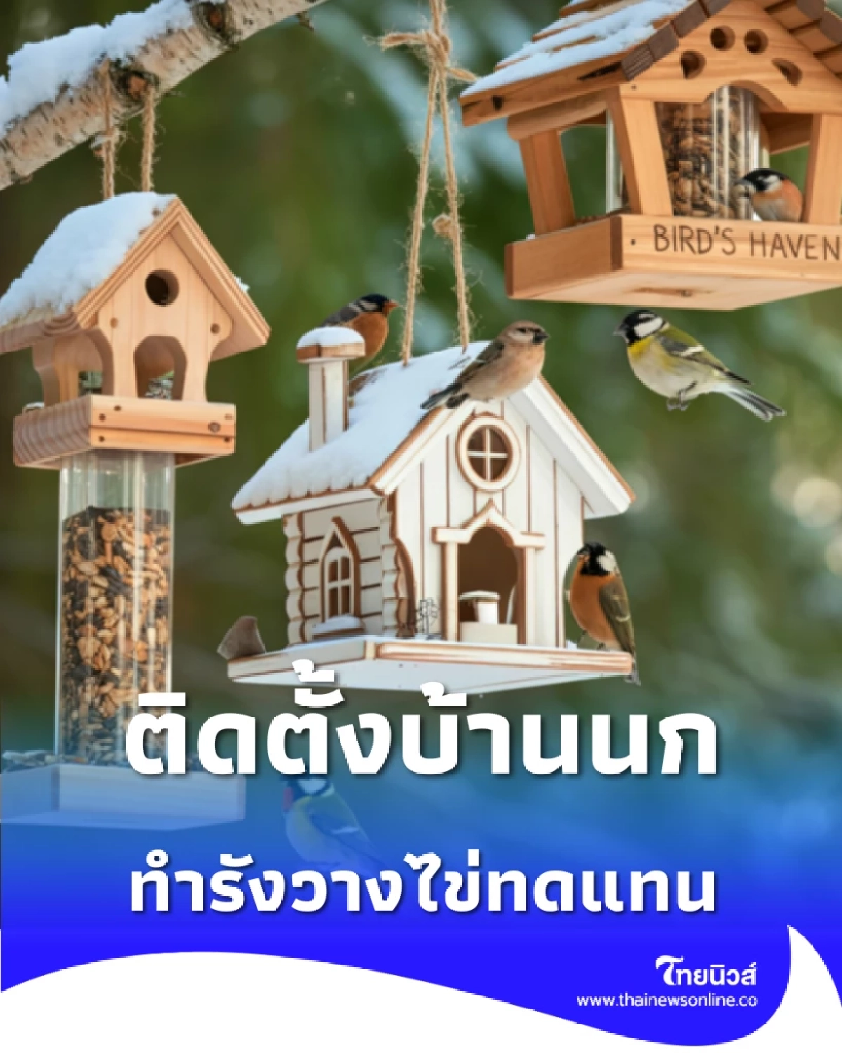 กทม. ลุยติดตั้งบ้านนก สวนรถไฟ คืนรังรักกลางกรุง สู้เพื่อธรรมชาติ