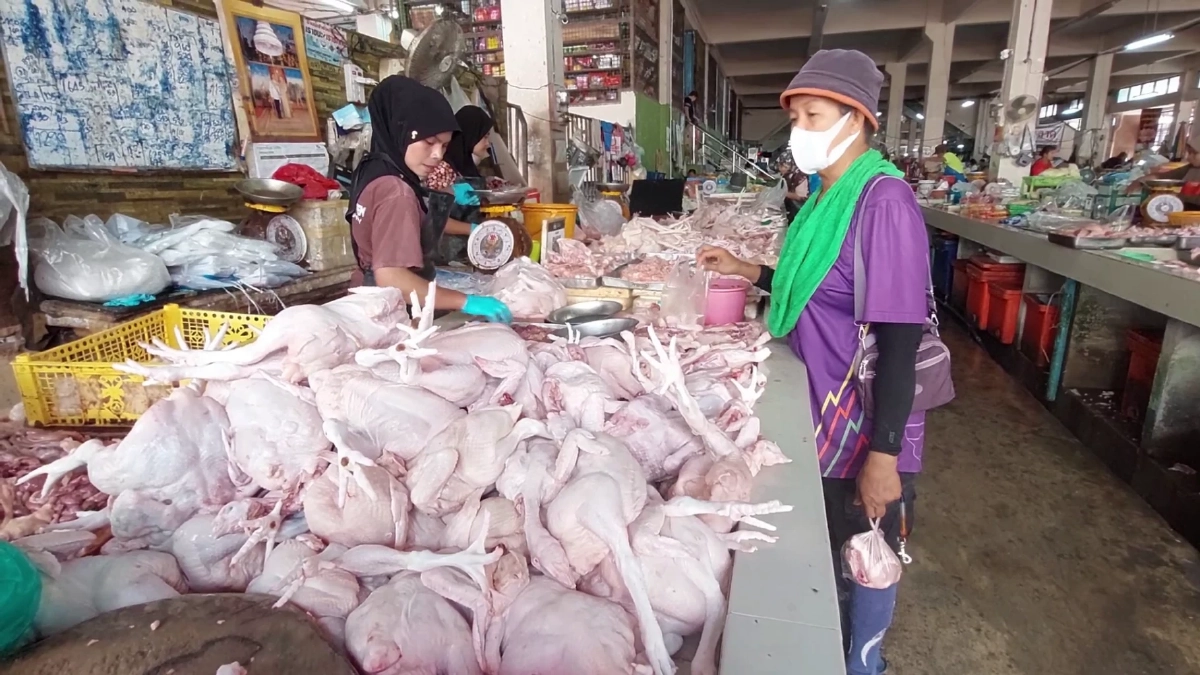 เบตงโอด! หมู-ไก่-ไข่พุ่ง วอนรัฐเร่งช่วยด่วน ก่อนแบกต้นทุนไม่ไหว